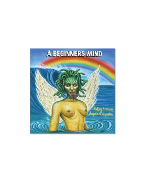 A Beginner's Mind