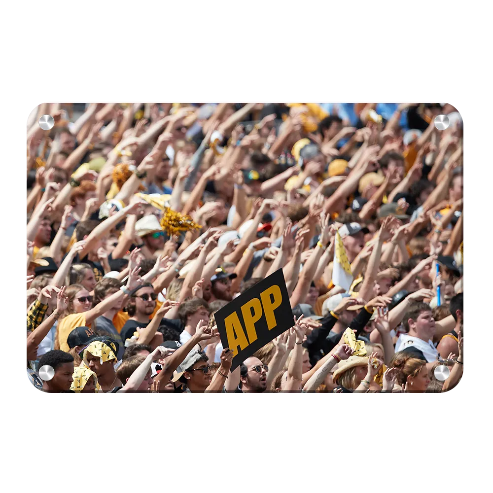 Appalachian State Mountaineers - APP