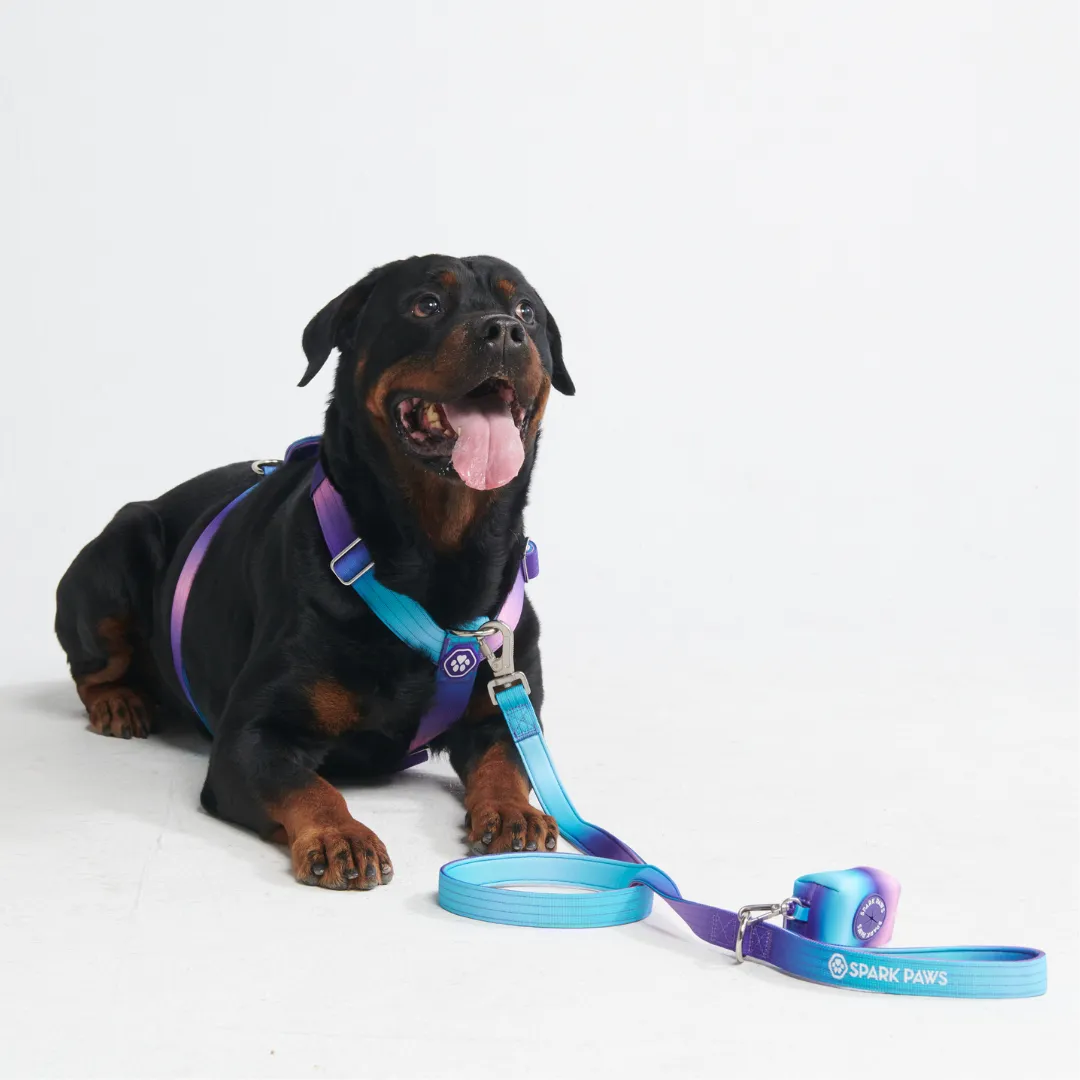 Comfort Control No-Pull Dog Harness Set - 90s Retro