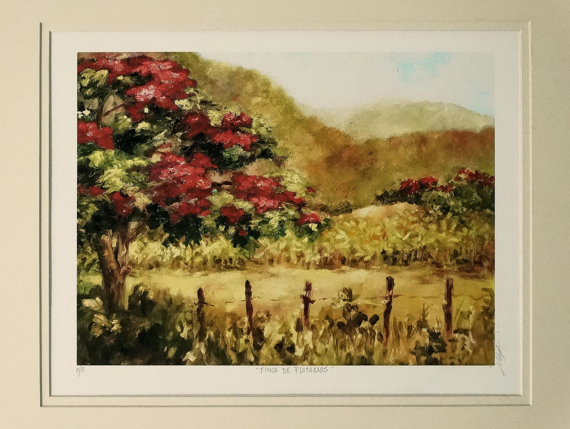 Finca De Platanos (Banana Farm) Fine Art Print by Monica Linville, Signed