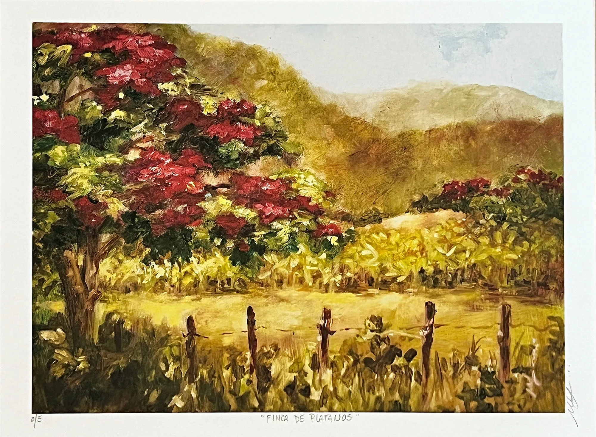 Finca De Platanos (Banana Farm) Fine Art Print by Monica Linville, Signed