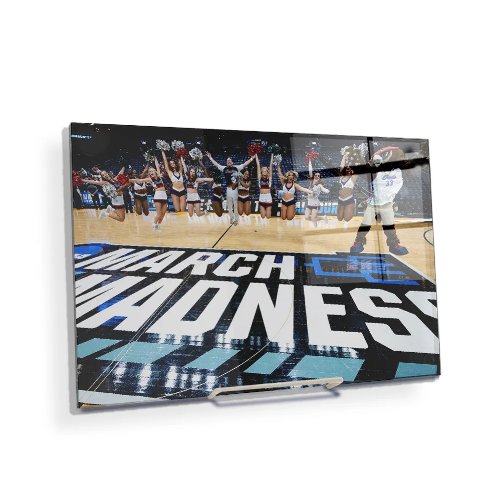 Florida Atlantic Owls - March Madness Cheer