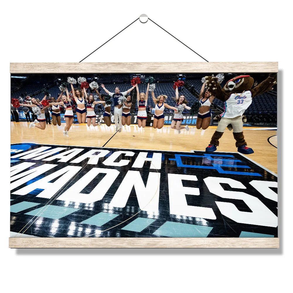 Florida Atlantic Owls - March Madness Cheer