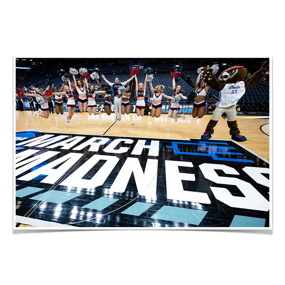 Florida Atlantic Owls - March Madness Cheer