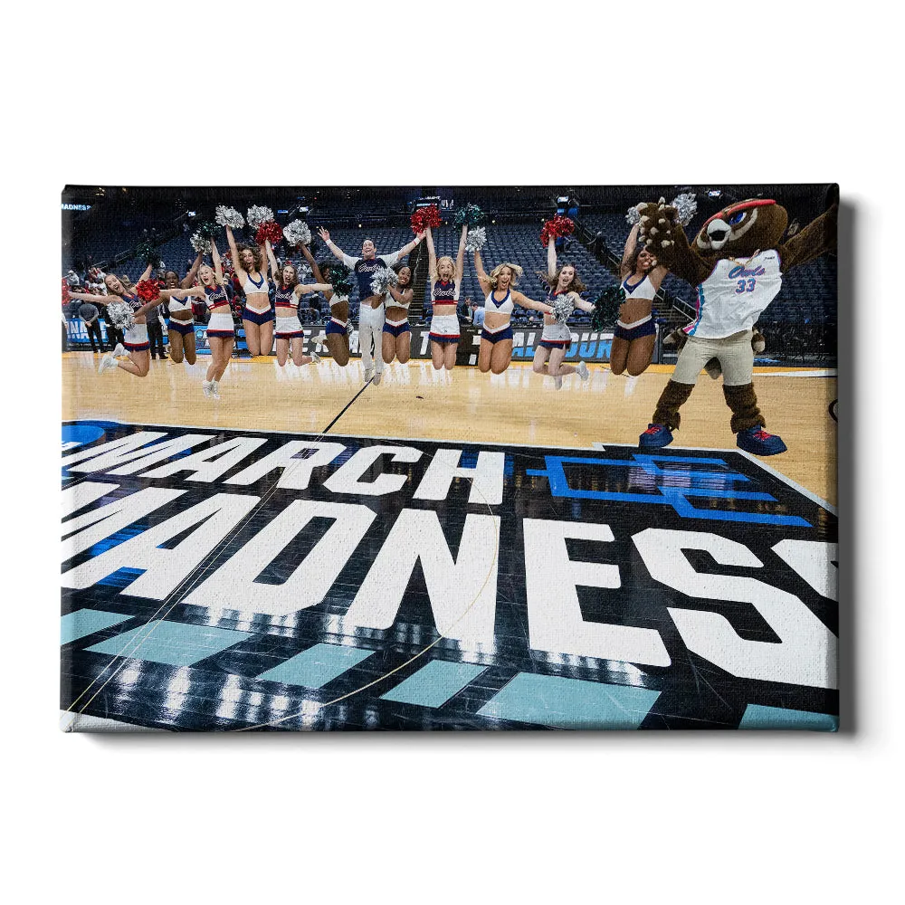 Florida Atlantic Owls - March Madness Cheer