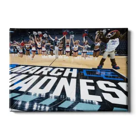 Florida Atlantic Owls - March Madness Cheer