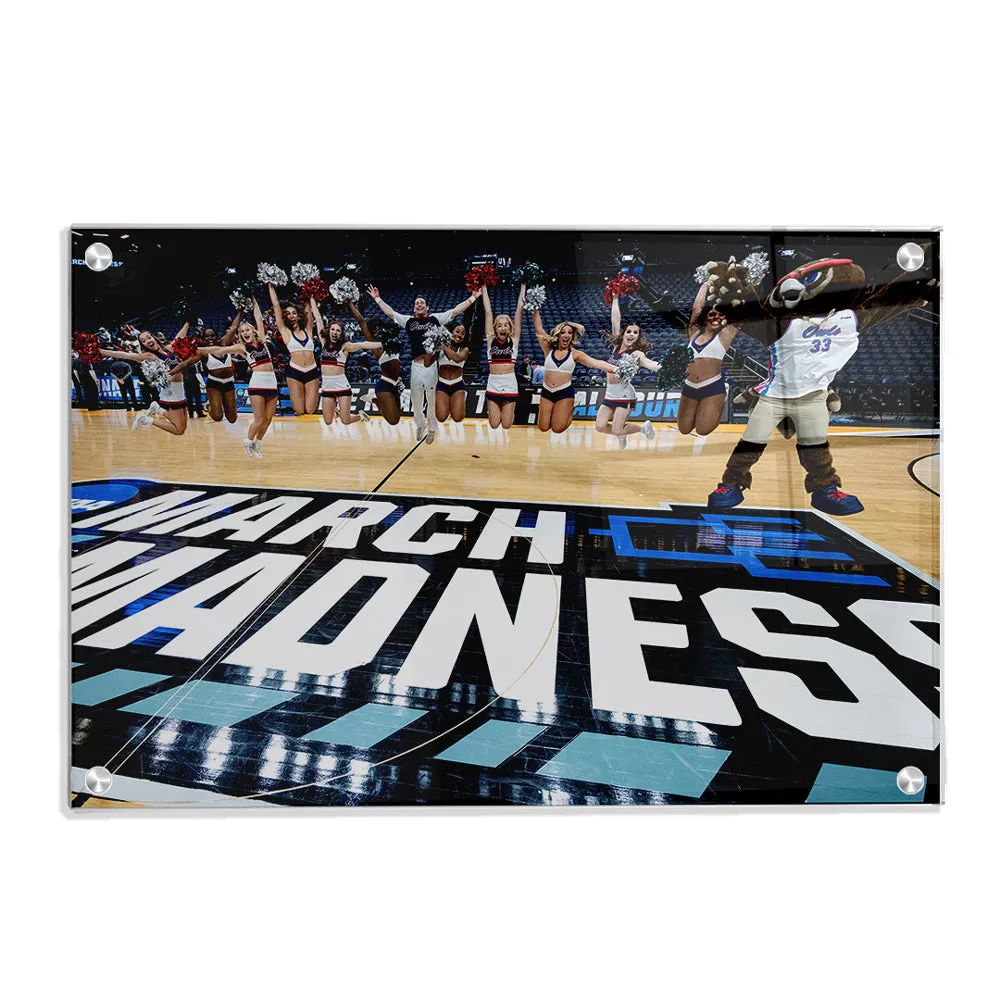 Florida Atlantic Owls - March Madness Cheer