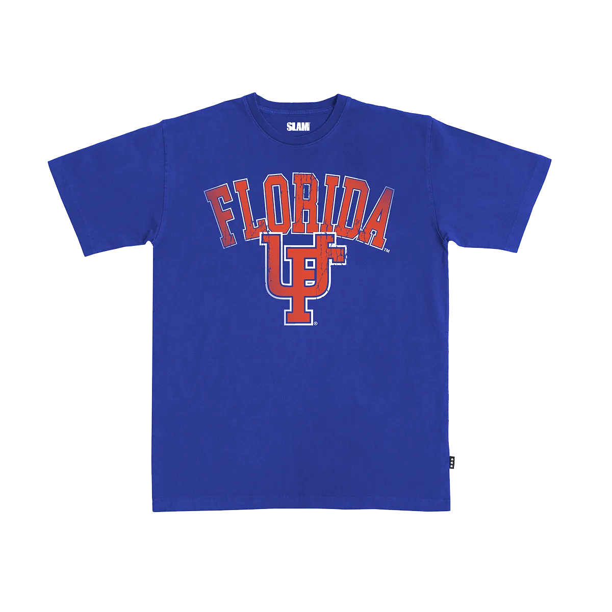 Florida Big Logo Heavy Tee