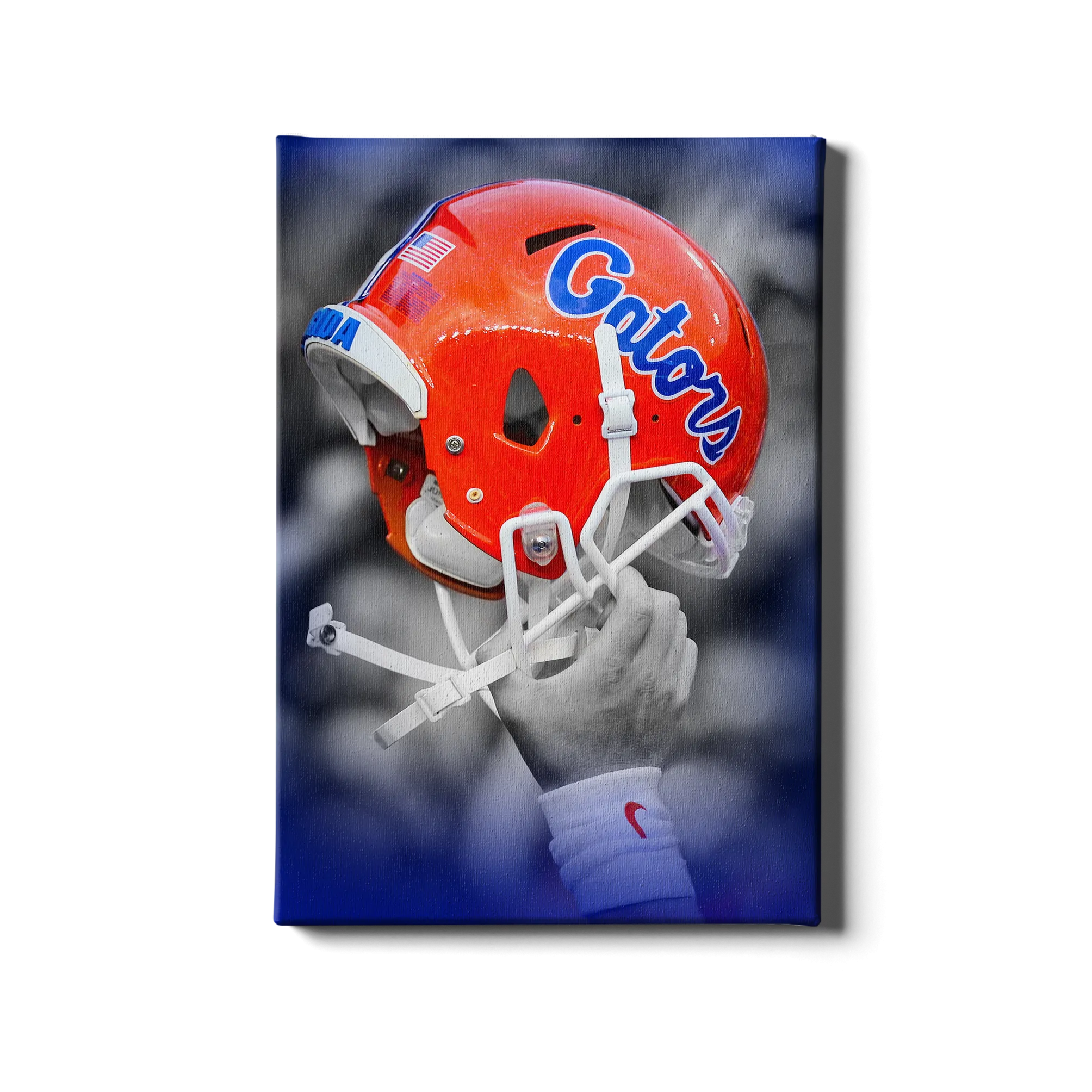 Florida Gators - Gator Victory