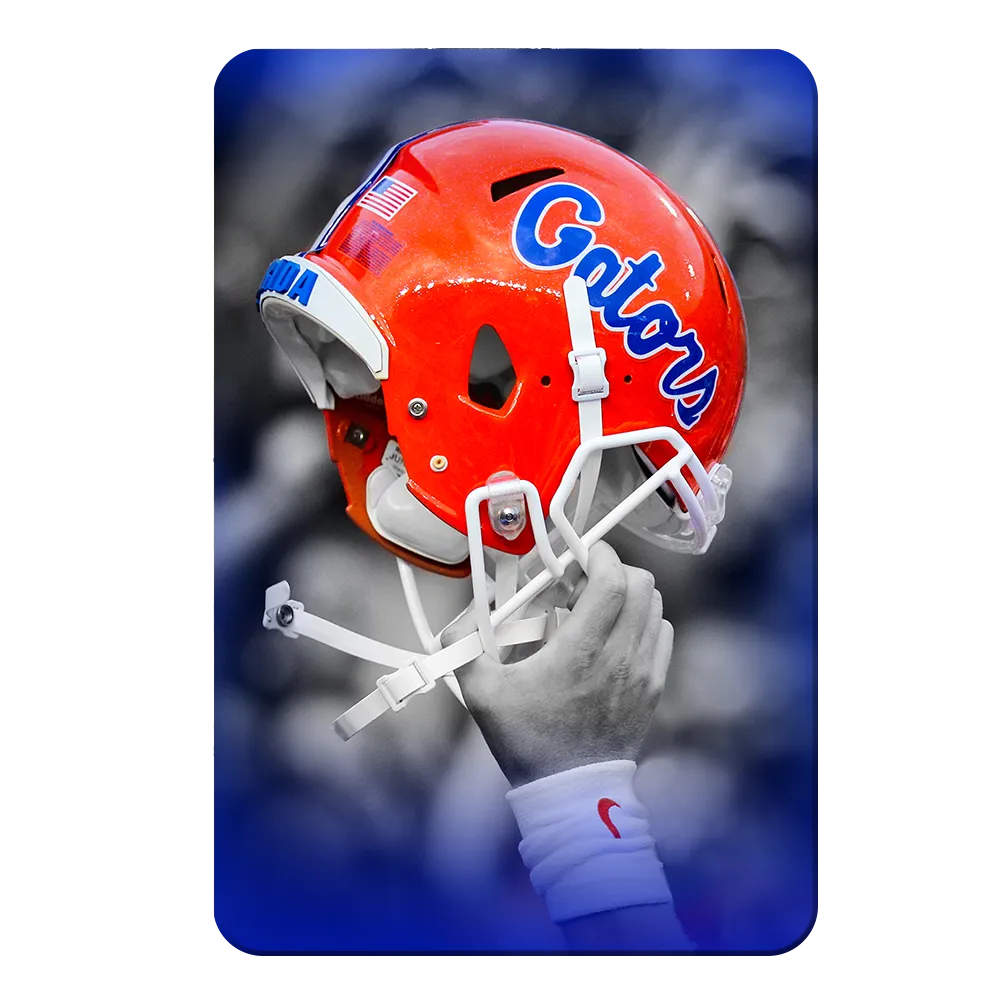 Florida Gators - Gator Victory