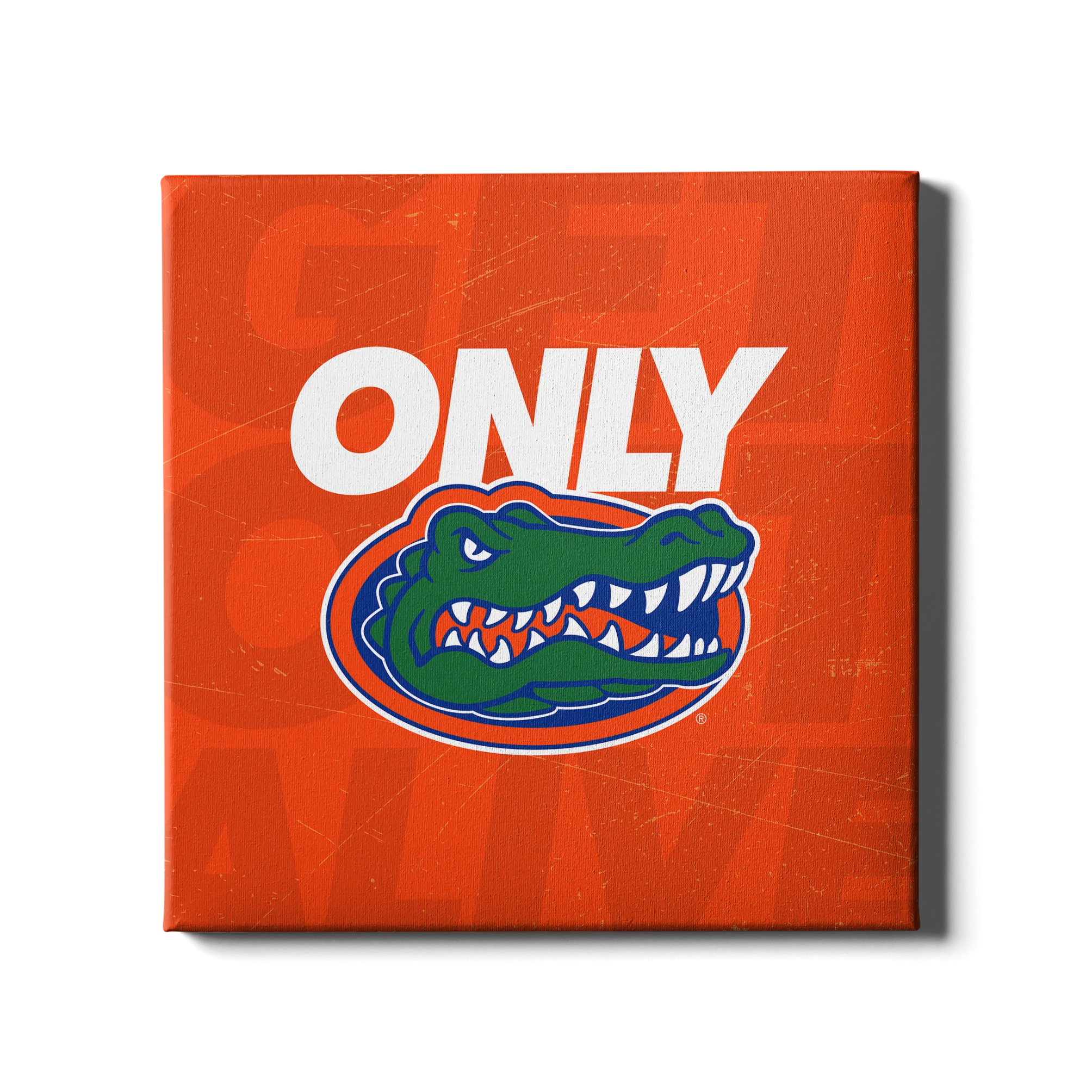 Florida Gators - Only Gators Orange