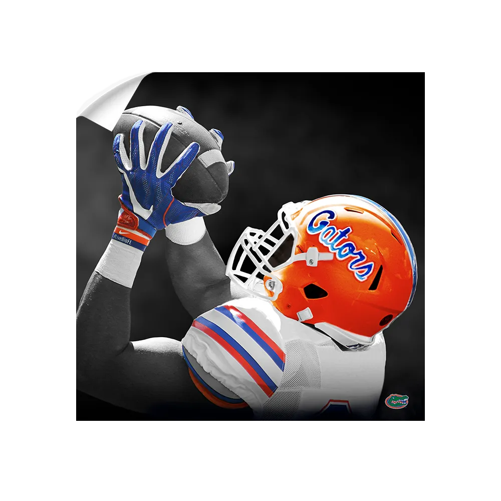 Florida Gators - The Catch