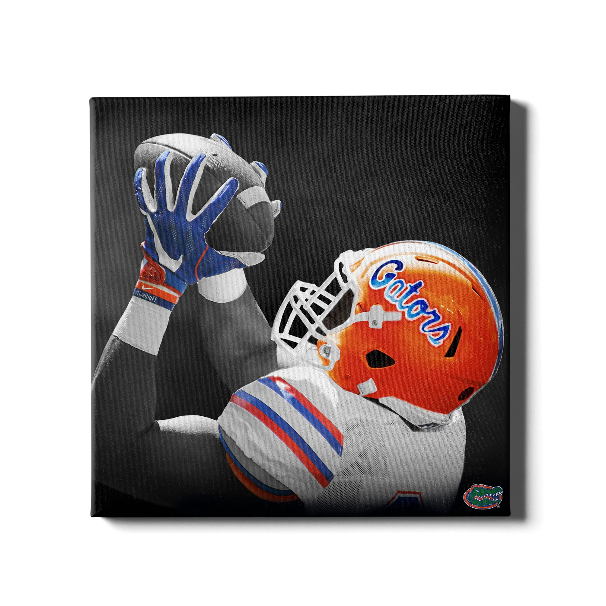 Florida Gators - The Catch