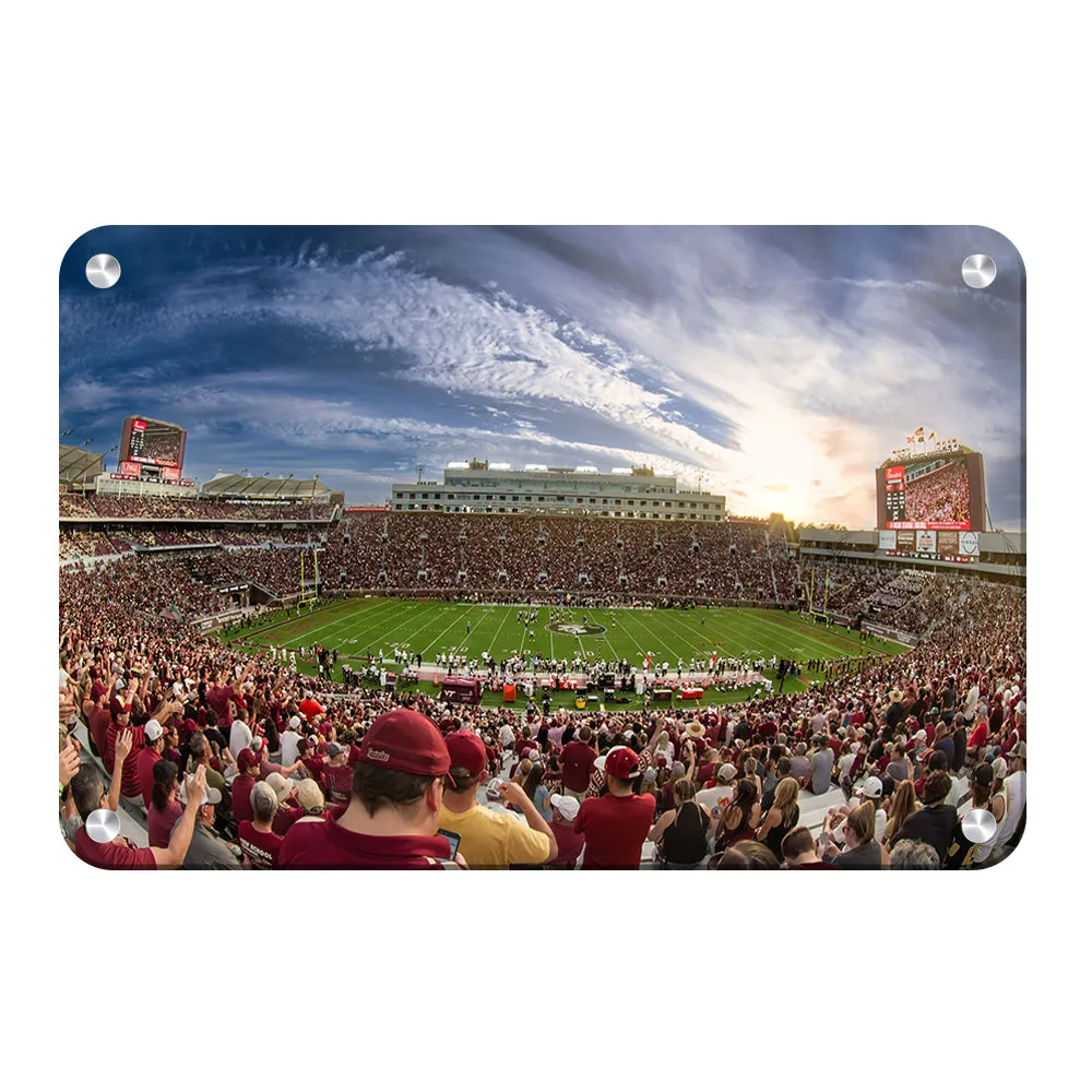 Florida State Seminoles - Doak