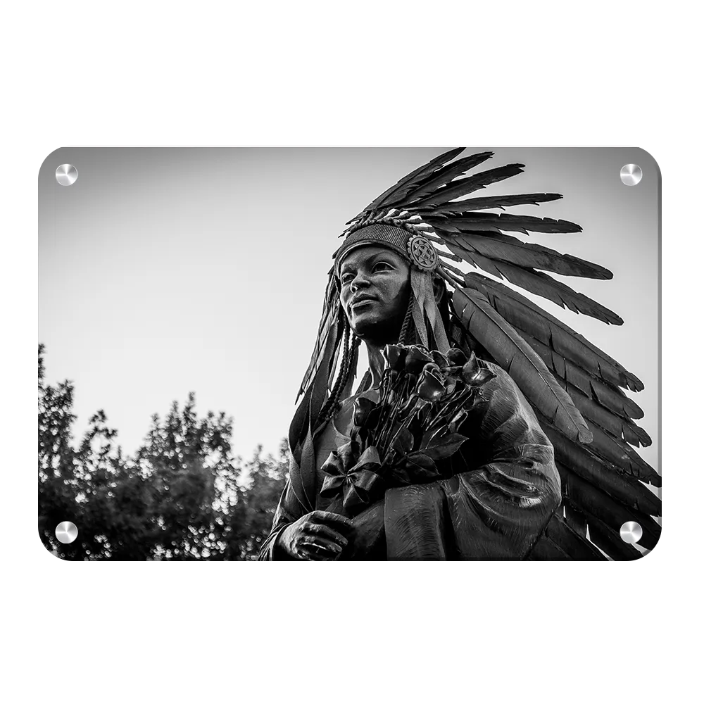 Florida State Seminoles - Integration Statue Seminole