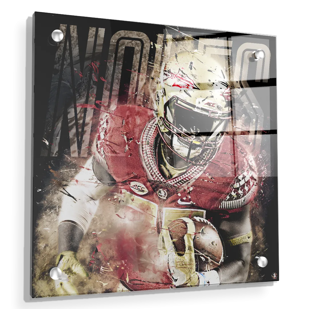 Florida State Seminoles - Noles