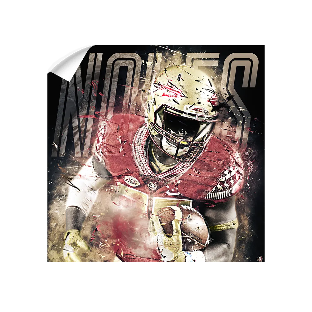 Florida State Seminoles - Noles