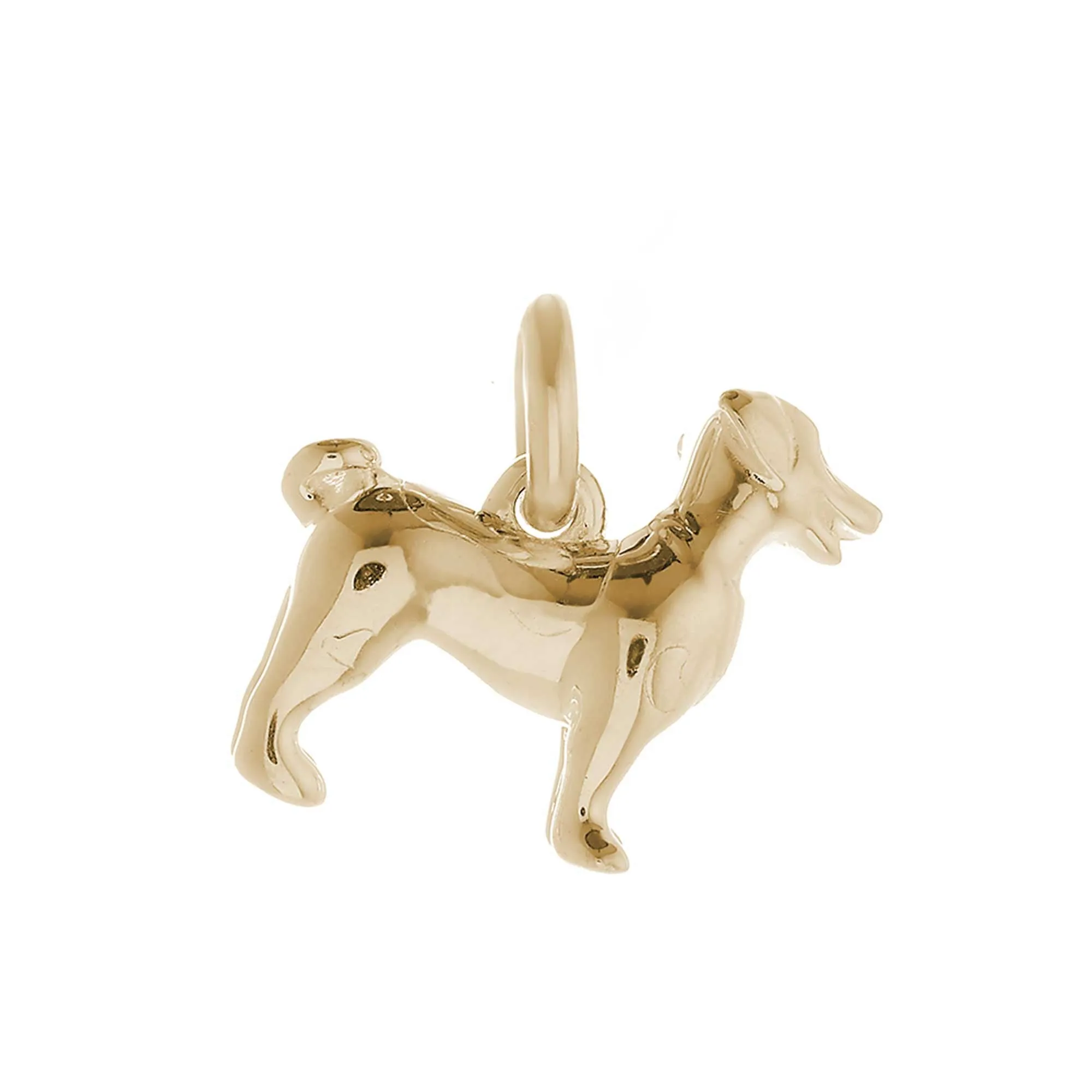 Jack Russell Terrier Solid Gold Dog Charm