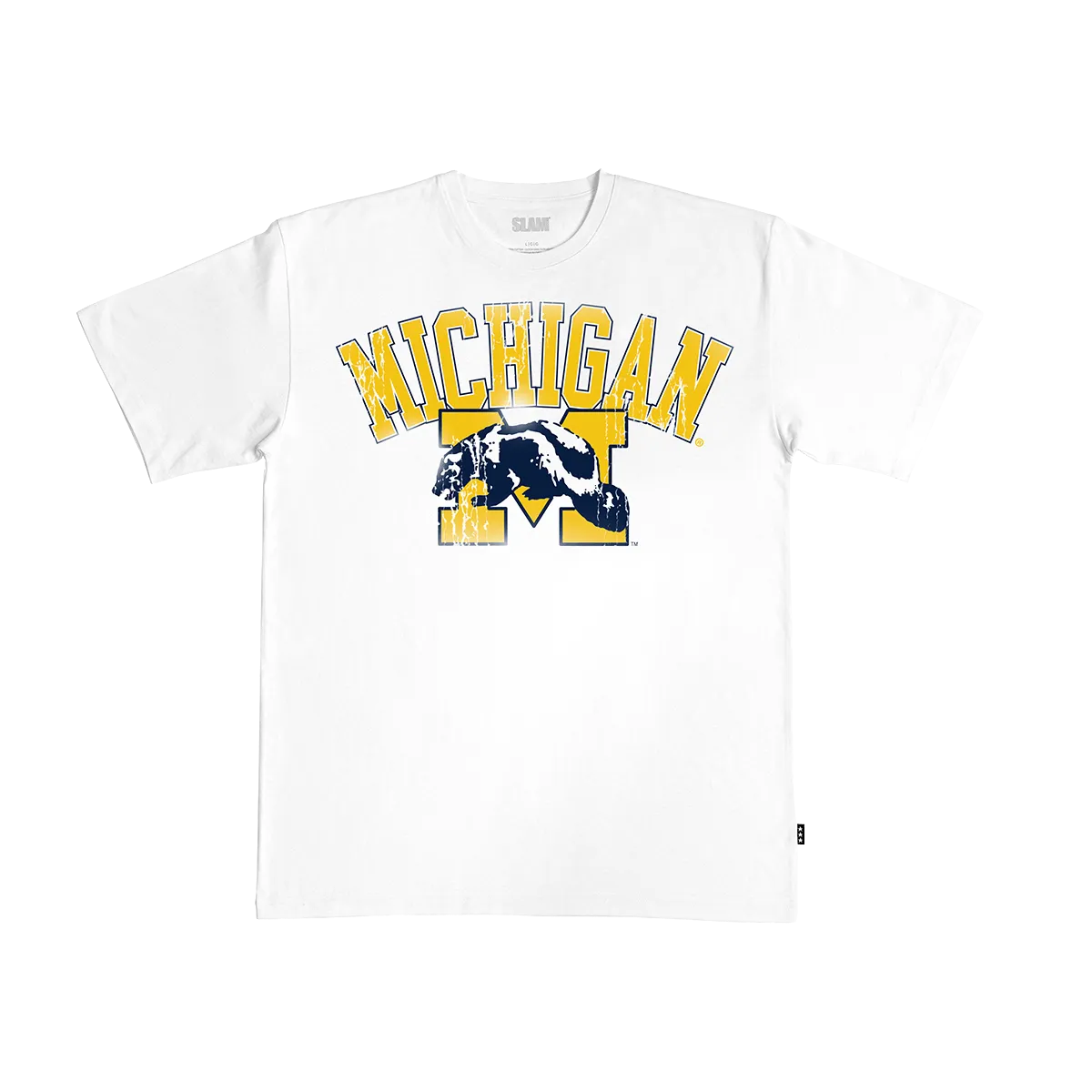 Michigan Big Logo Heavy Tee