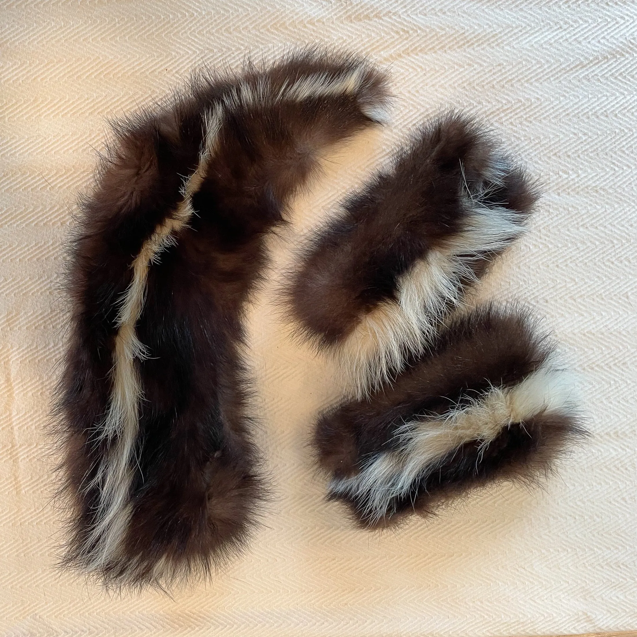 SOLD Vintage Fur Collar Collar and Cuff Set, Replacement or Costume Prop Study, 3 Piece Set