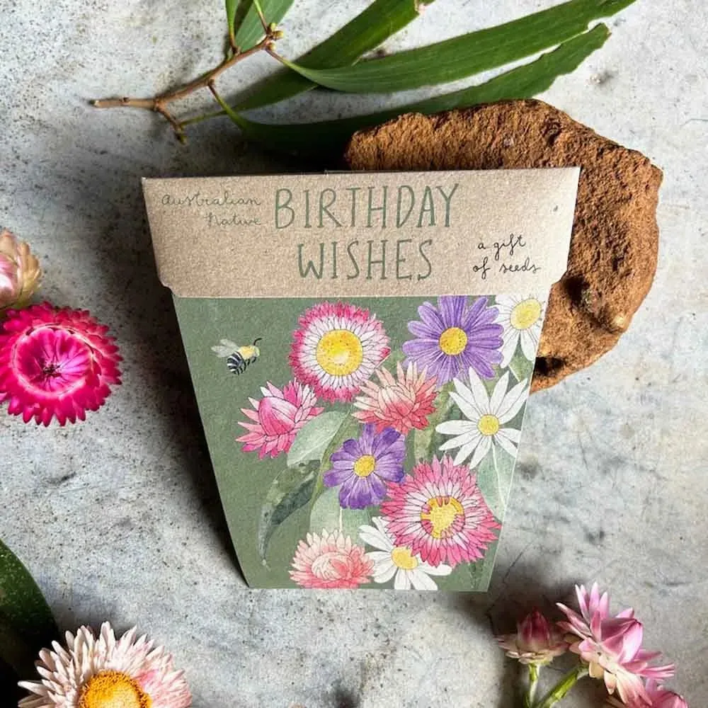 Sow n Sow | Birthday Wishes Gift of Seeds