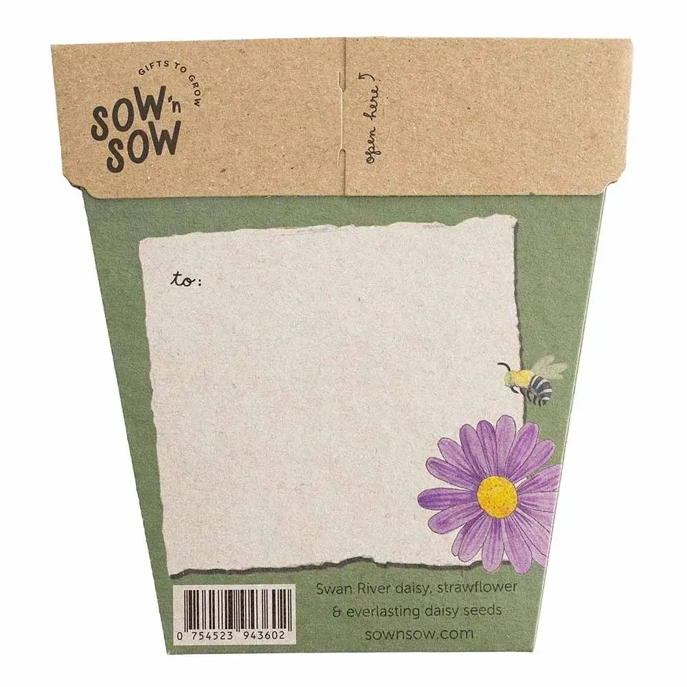 Sow n Sow | Birthday Wishes Gift of Seeds