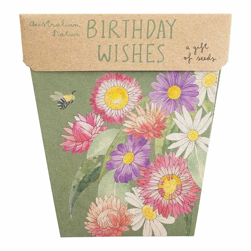 Sow n Sow | Birthday Wishes Gift of Seeds