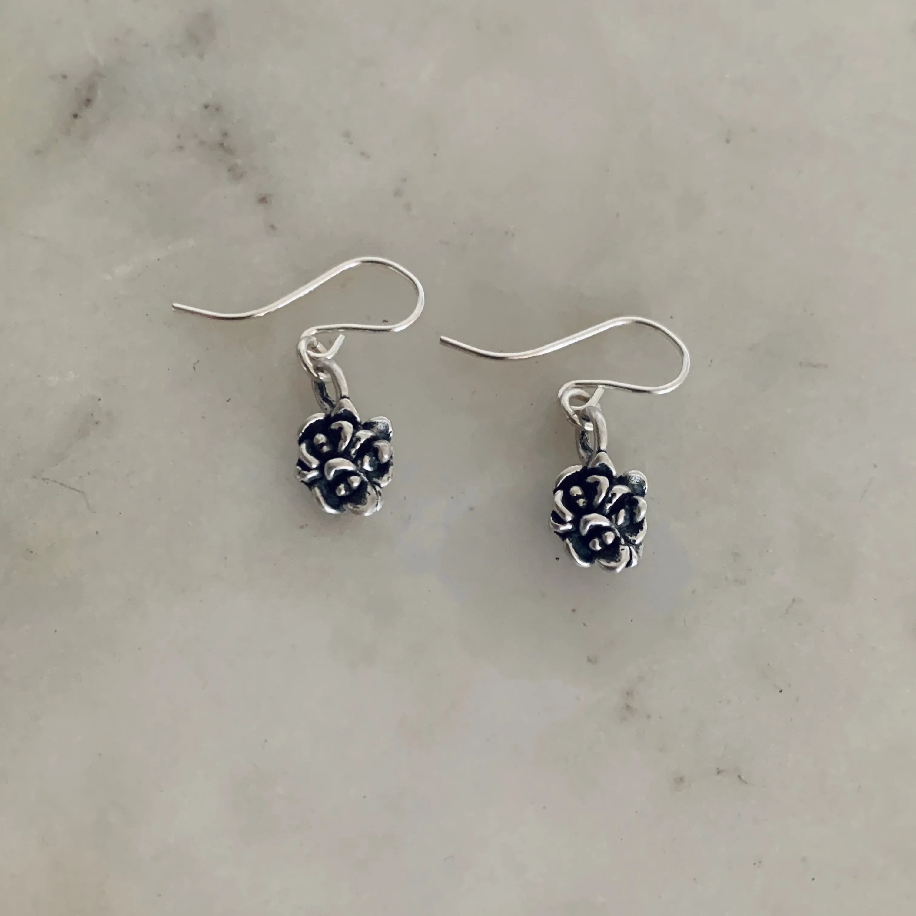 SUCCULENT EARRINGS